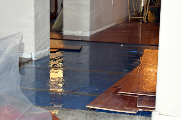 Professional Basement Flooding technician working in Davilla, TX